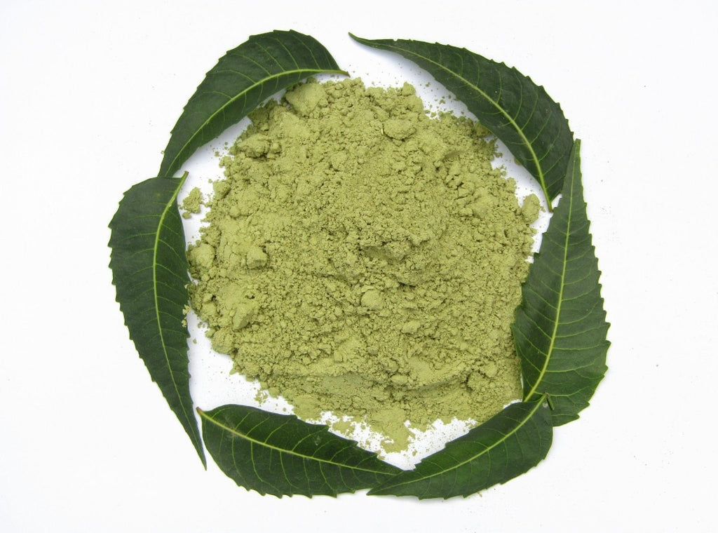 Neem powder