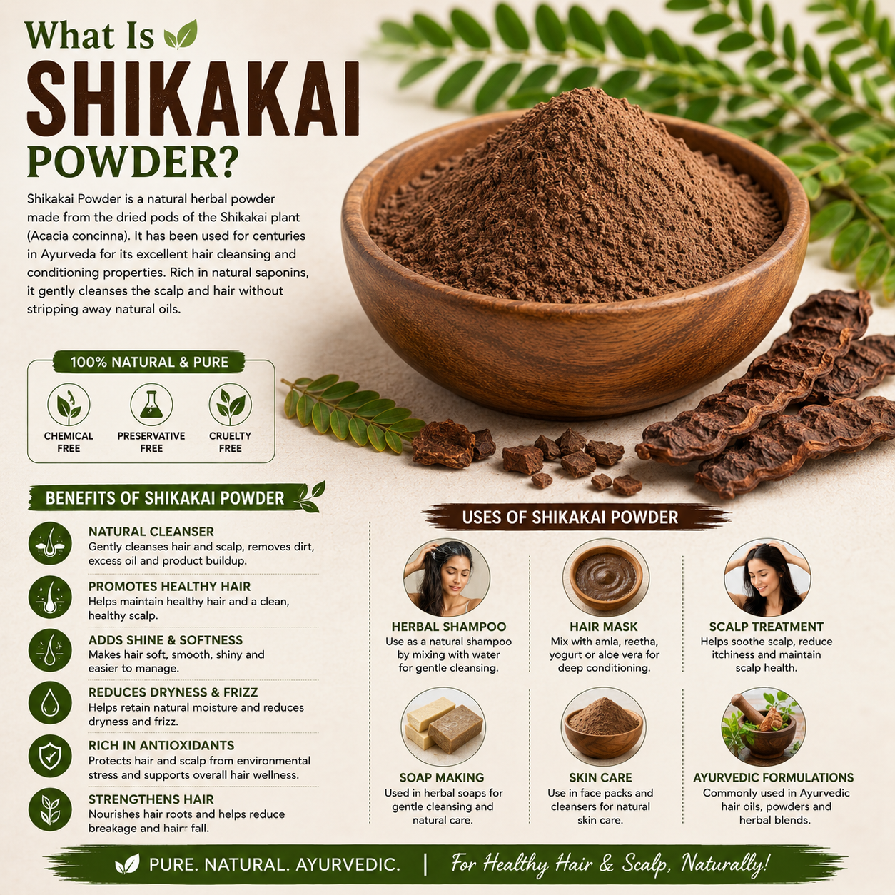 Shikakai Powder