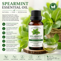 Spearmint Essential Oil